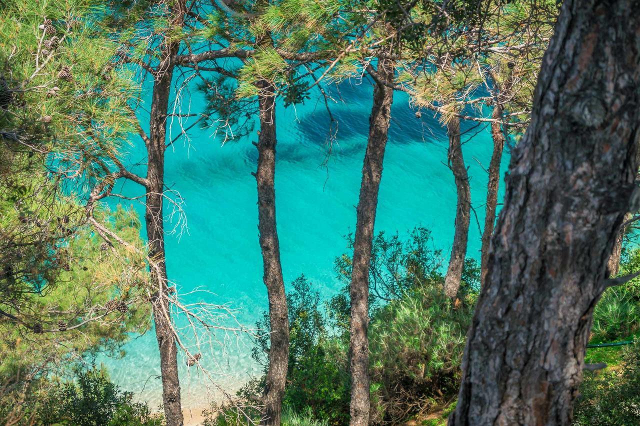 Armonia Bay Hotel Κοκκάρι Εξωτερικό φωτογραφία